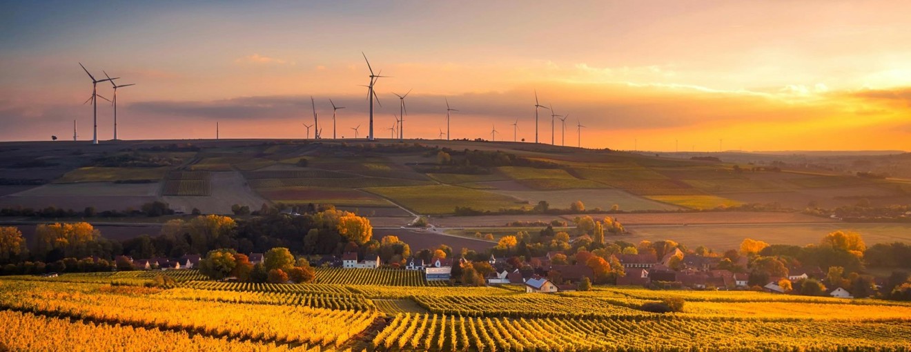 Sunset over a rural landscape with fields, vineyards, and wind turbines on the horizon