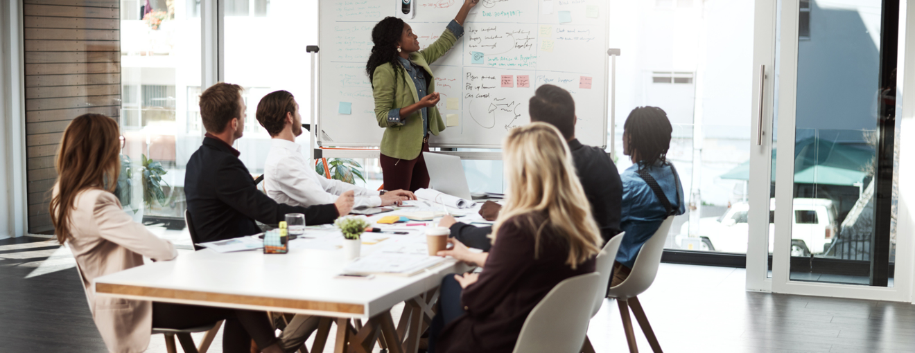 A person presenting in a meeting