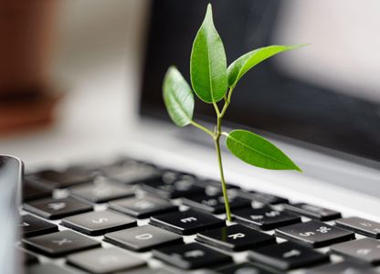 Small green plant sprouting from the keyboard of a laptop, symbolizing sustainability and digital growth