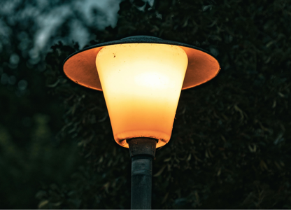 A streetlight in front of a bush